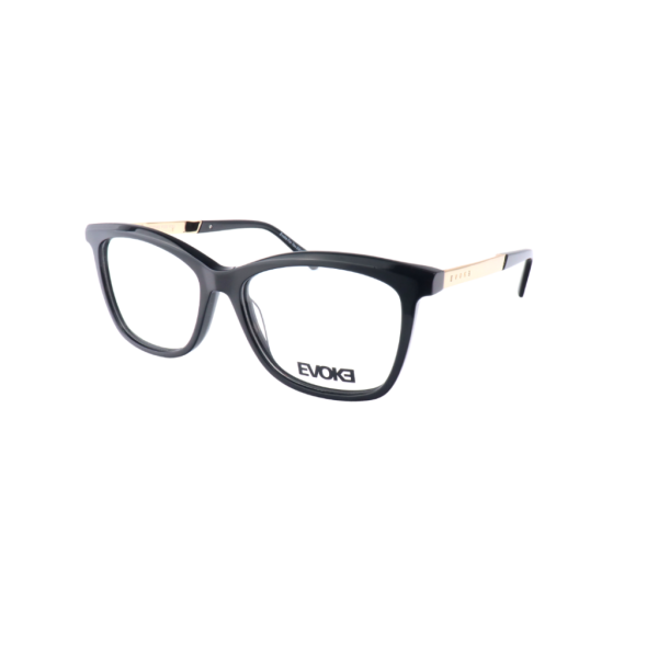 Armação de Óculos Evoke For You DX15N A01